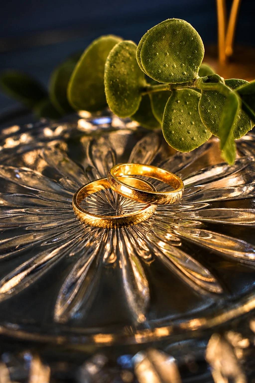 Argollas de matrimonio en oro de Joyería Monarca